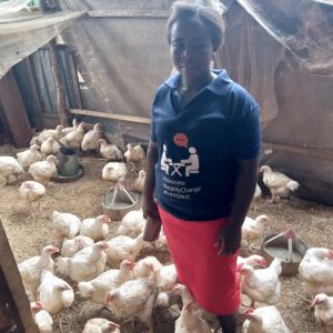 A person standing in a chicken pen with lots of chickens