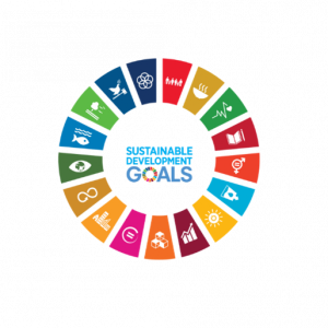 SDG logo